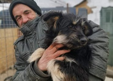 Help de dieren in Oekraïne!